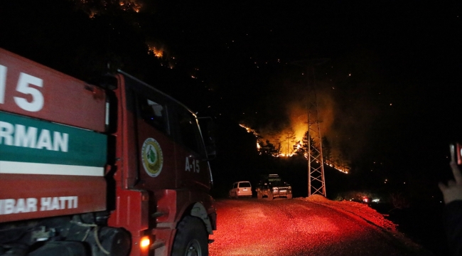 Alanya'da orman yangını