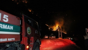 Alanya'da orman yangını