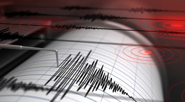 Bingöl'de 3,0 şiddetinde deprem