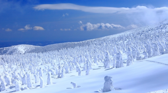 Japonya, kardan elektrik üretecek