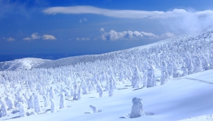 Japonya, kardan elektrik üretecek