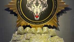 Malatya'da 40 kg skunk ele geçirildi: 1 tutuklama