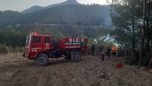 Osmaniye'nin Düziçi ilçesinde orman yangını