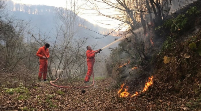 Sakarya'nın Karasu ilçesinde orman yangını