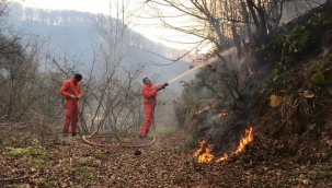 Sakarya'nın Karasu ilçesinde orman yangını