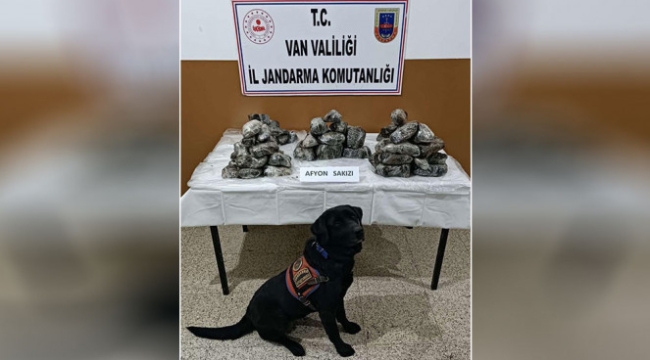 Van'da 33 kilogram uyuşturucu ele geçirildi