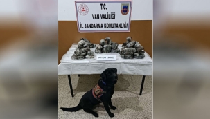 Van'da 33 kilogram uyuşturucu ele geçirildi