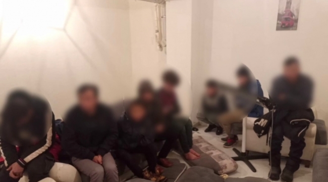 Van'da bir bodrum katta 8 kaçak yakalandı