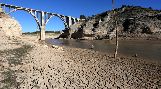 WMO: "Akdeniz'de çölleşme hızlanabilir"
