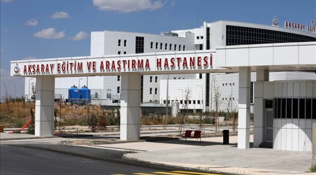 Aksaray'da koyun otlatan çocuğa Pitbull saldırısı