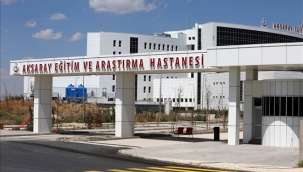 Aksaray'da koyun otlatan çocuğa Pitbull saldırısı