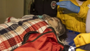 258. saatte 30 yaşındaki kadın enkazdan kurtarıldı