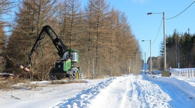 Finlandiya, Rusya ile sınırına çit çekiyor