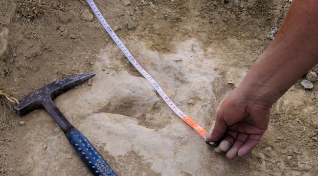 İngiltere'de bir metrelik dinozor ayak izi bulundu