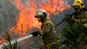Şili'de orman yangınları: 13 kişi hayatını kaybetti