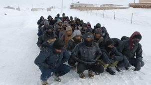 Van'da 410 kaçak yakalandı 