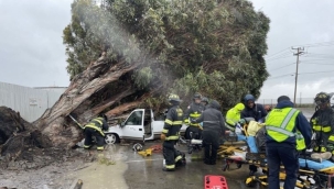ABD'yi hortum ve fırtına vurdu: 23 kişi öldü