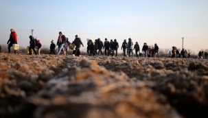 Amerika kıtasını aşmaya çalışan 1433 kaçak öldü