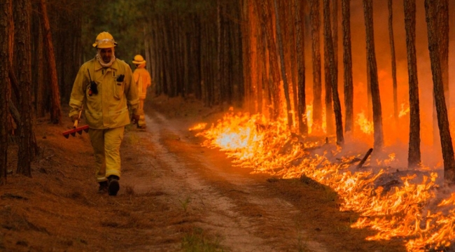 Arjantin'in başkenti Buenos Aires'te orman yangını
