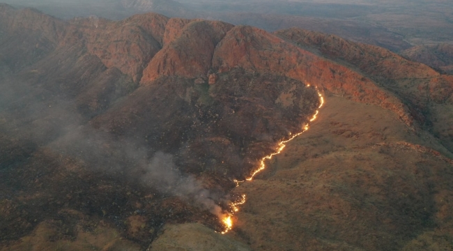 Avustralya/Alice Springs'te orman yangını
