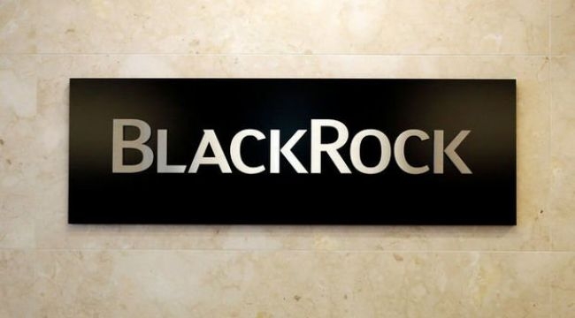 BlackRock: "Piyasalar Fed konusunda yanılıyor"
