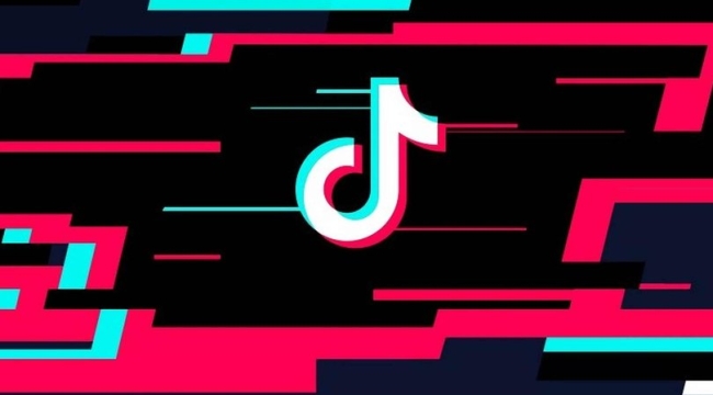 Danimarka Savunma Bakanlığı'ndan TikTok yasağı