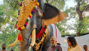 Hindistan'da festivalde ilk kez robot fil kullanıldı