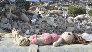 Holoğlu: ''55 çocuk hakkında kayıp müracaatı var''