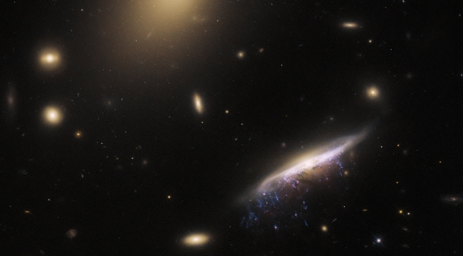 Hubble, JW100 denizanası galaksisini görüntüledi