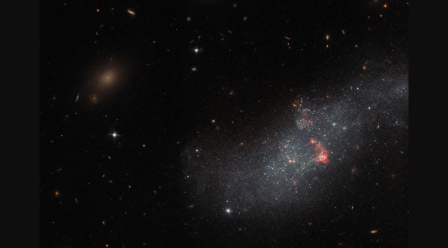 Hubble, UGCA 307 galaksisini görüntüledi