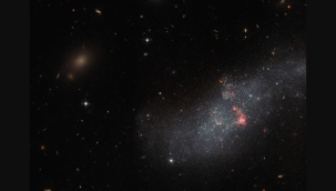 Hubble, UGCA 307 galaksisini görüntüledi