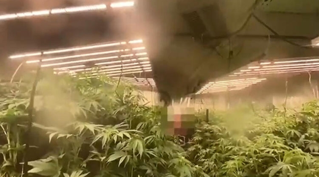 İstanbul'da 20 milyon liralık uyuşturucu yakalandı