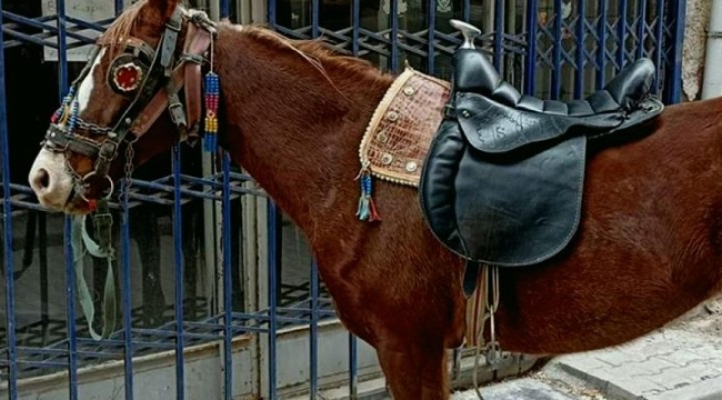 Konya'da alkollü olarak atıyla dolaşan kişiye ceza