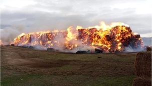 Konya'da tarım işletmesinde yangın