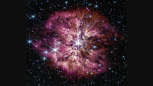 NASA, patlamak üzere olan bir yıldızı paylaştı