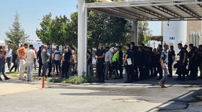 Şanlıurfa'da 2 aşiret arasında kavga: 12 yaralı