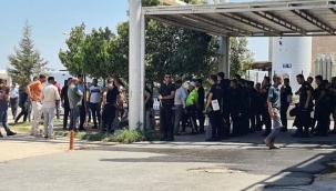 Şanlıurfa'da 2 aşiret arasında kavga: 12 yaralı