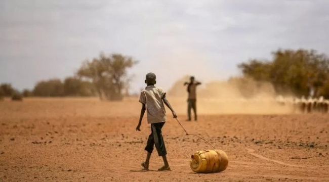 Somali'de kuraklığın faturası: 1 yılda 43 bin ölü