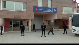 Van'da insan kaçakçılığı operasyonu: 104 gözaltı