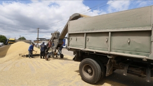 ABD'den Tunus'a 25 bin ton tahıl desteği