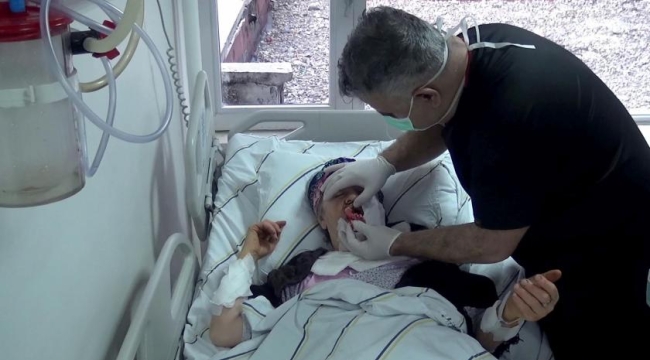 Erzurum'da köye inen kurt, 4 kişiyi yaraladı 