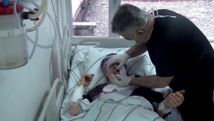 Erzurum'da köye inen kurt, 4 kişiyi yaraladı 