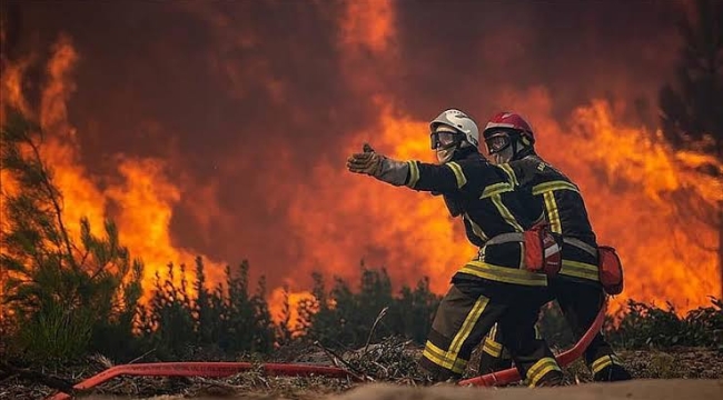 Fransa'nın Pirineler bölgesinde orman yangını 