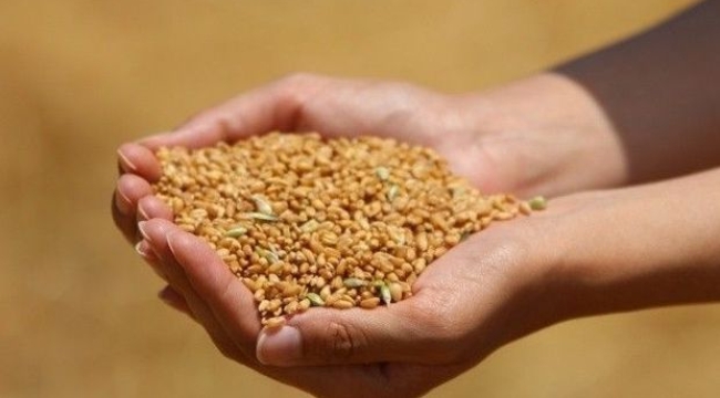 Hububat ithalatında gümrük vergisi %130 oldu