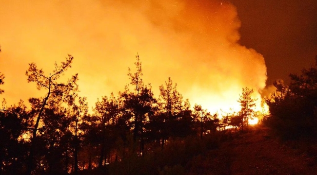 İspanya'da orman yangınları 3 haftadır sürüyor 
