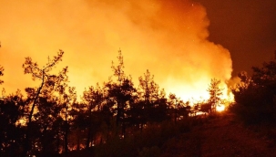 İspanya'da orman yangınları 3 haftadır sürüyor 