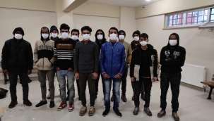 Kırklareli'nde 19 kaçak yakalandı