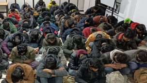 Kocaeli'de tır dorsesinde 75 kaçak yakalandı