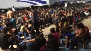 Meksika'da kamyon kasasında 209 kaçak bulundu