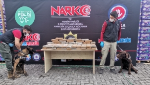 Mersin Limanı'nda 97,5 kg kokain ele geçirildi